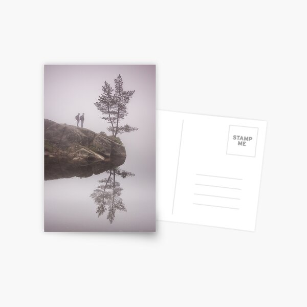Norwegian reflection Postcard