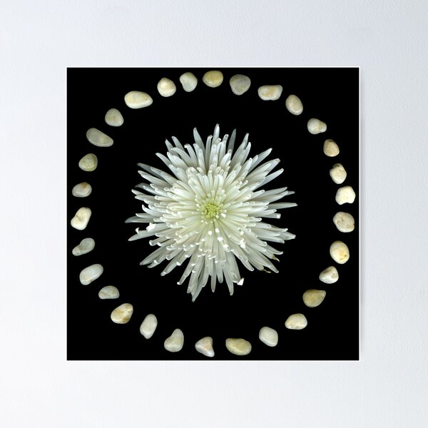 Item preview, Spider And Stones designed and sold by Scanart.