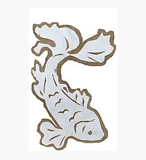 White Paper Cut Koi Fish Photographic Print