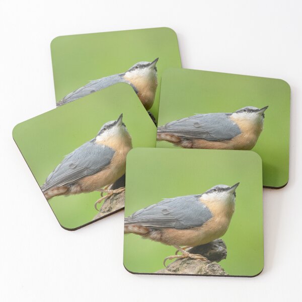Item preview, Nuthatch looking up designed and sold by JLP ARTWORKS.