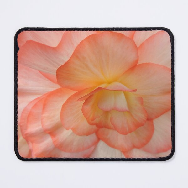 Item preview, Begonia in Shades of Apricot designed and sold by Marilyn Harris.