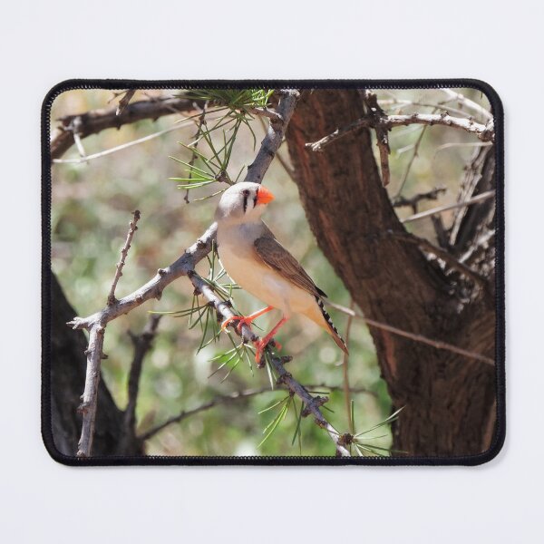 Item preview, Female Zebra Finch (Taeniopygia guttata) designed and sold by Marilyn Harris.