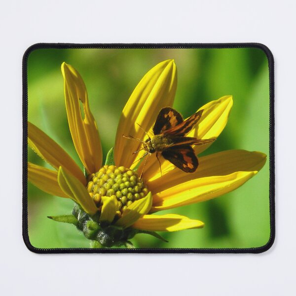 Item preview, Greenish Grass-dart (Ocybadistes walkeri) designed and sold by Marilyn Harris.