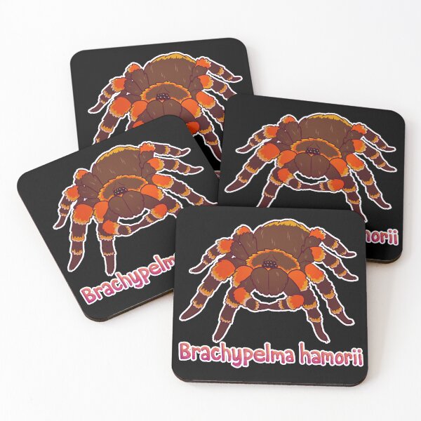 Item preview, Red-Kneed Tarantula Scientific Name designed and sold by ghostcashew.