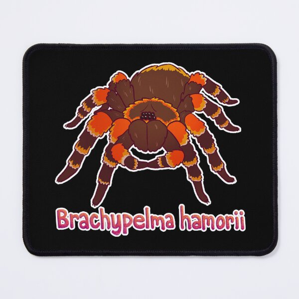 Item preview, Red-Kneed Tarantula Scientific Name designed and sold by ghostcashew.