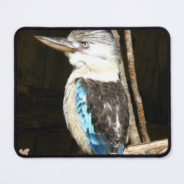 Item preview, Australian Blue-winged Kookaburra designed and sold by Marilyn Harris.