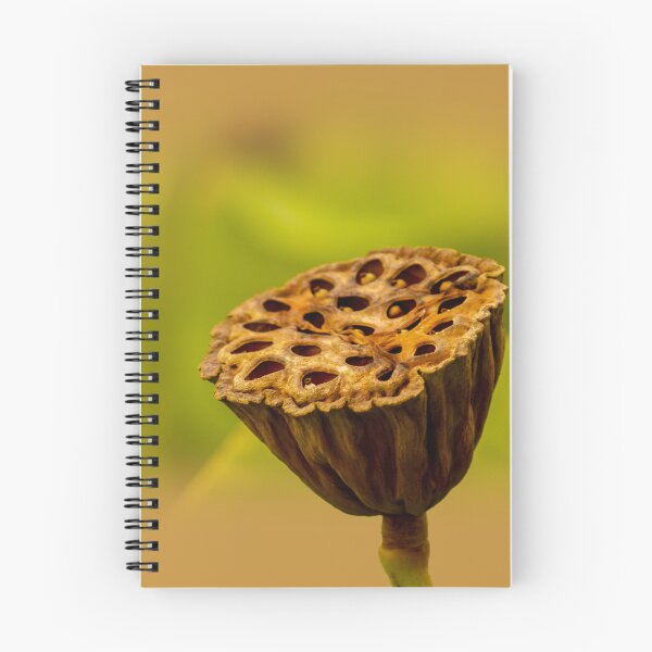 Item preview, Lotus  designed and sold by indiafrankk.