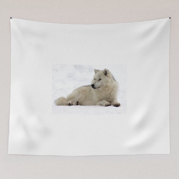 Item preview, Lone Arctic Wolf. designed and sold by vette.