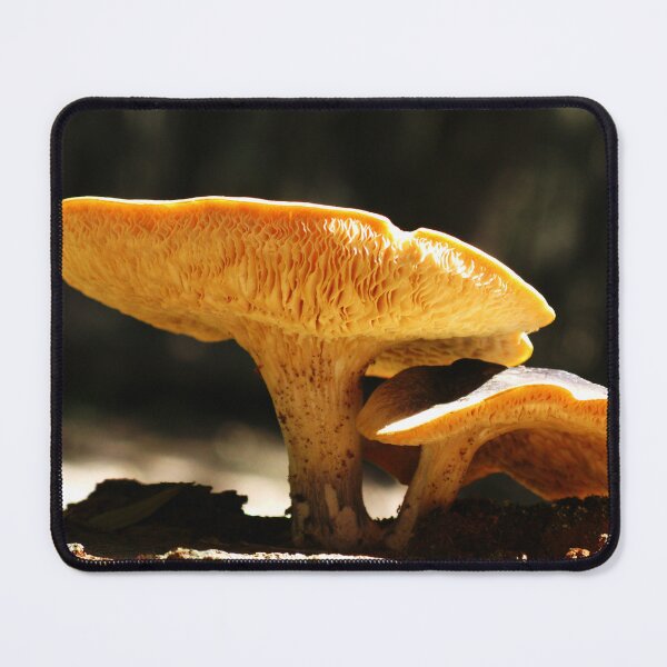 Item preview, Sheltered - Fungi Friends designed and sold by Marilyn Harris.