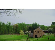 Photographic Print