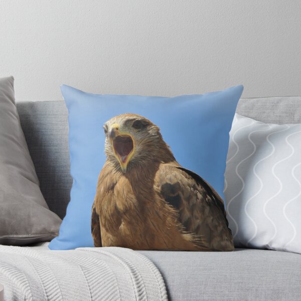Item preview, Yellow Billed Kite - Calling all Friends designed and sold by LivingWild.