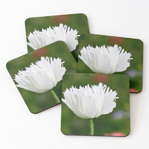 Item preview, The sad white Poppy designed and sold by Jouko Lehto Photography.