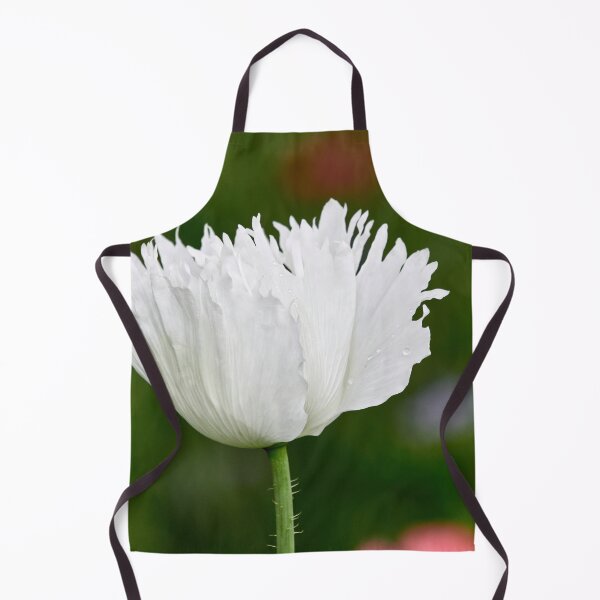 Item preview, The sad white Poppy designed and sold by Jouko Lehto Photography.
