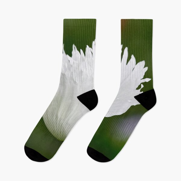 Item preview, The sad white Poppy designed and sold by Jouko Lehto Photography.