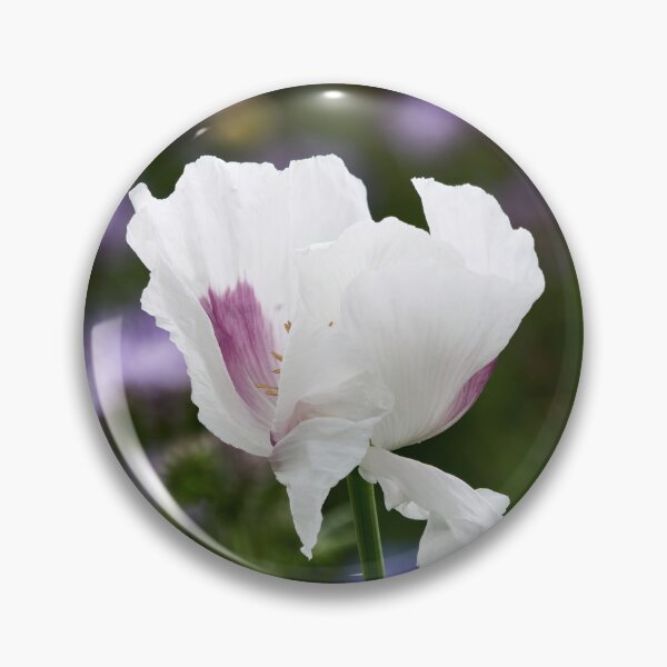 Item preview, Undressing Poppy designed and sold by Jouko Lehto Photography.