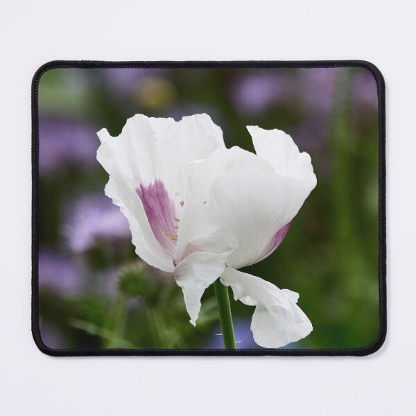 Item preview, Undressing Poppy designed and sold by Jouko Lehto Photography.