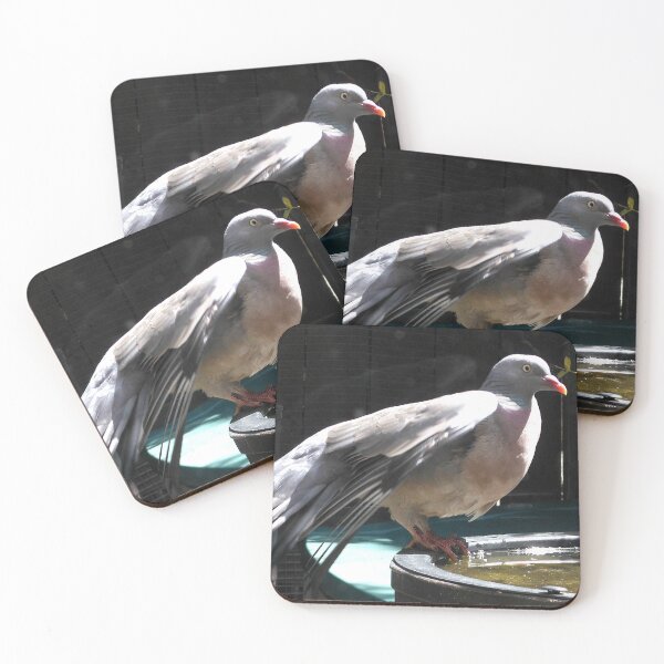 Item preview, Wood Pigeon designed and sold by BlueMoonRose.