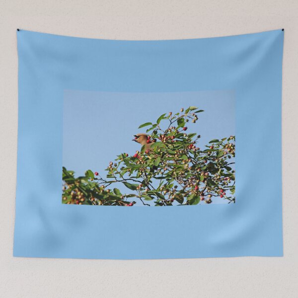 Item preview, Feast Fit For A Waxwing designed and sold by Debbie Oppermann.