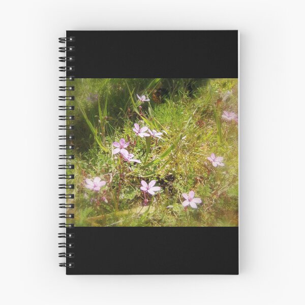 Item preview, pink Redstem Filaree wildflowers #1 designed and sold by Dawna Morton.