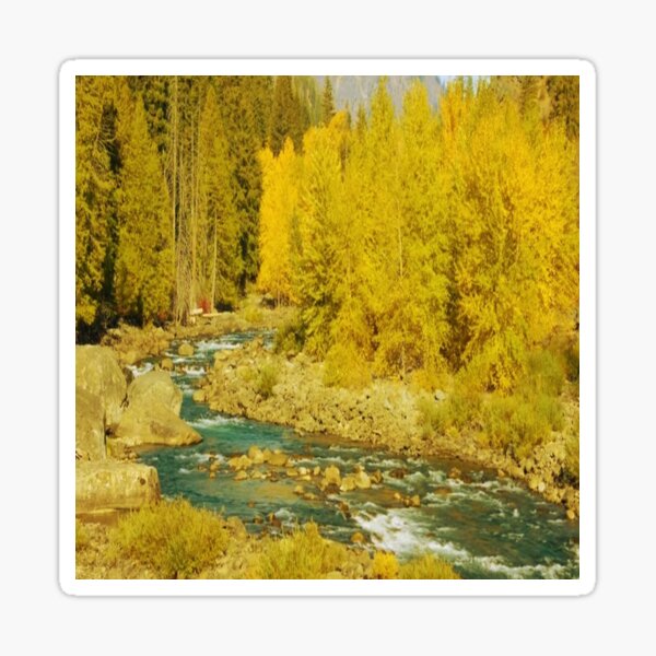Beautiful landscape view of river with green forest trees. Sticker