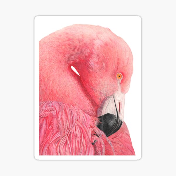 Patsy the Flamingo Sticker
