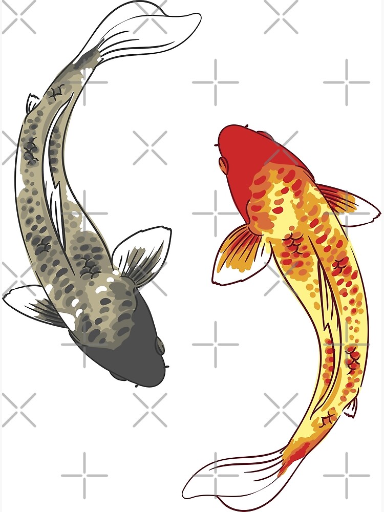 "Koi Fish Yin Yang" Art Print by astralprints Redbubble