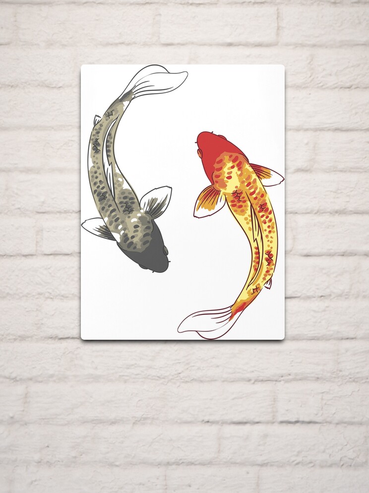 Yin yang koi fish ' Poster, picture, metal print, paint by