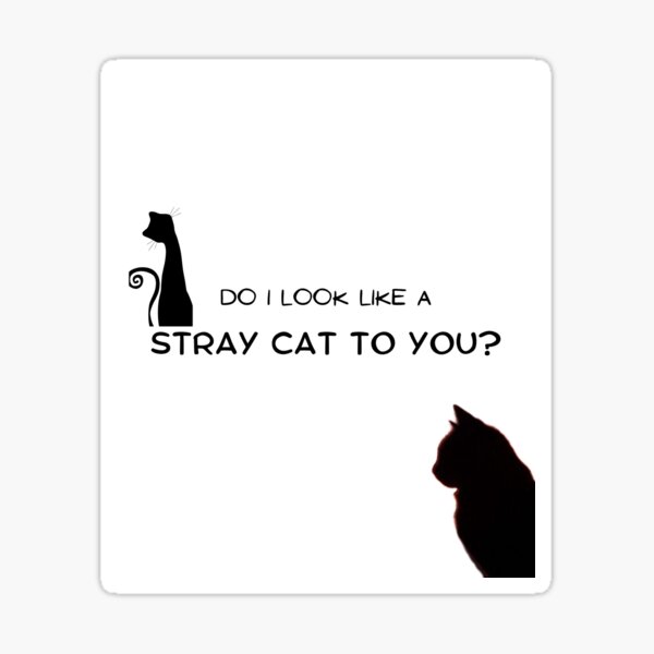 do-i-look-like-a-stray-cat-to-you-sticker-for-sale-by-farah316unista