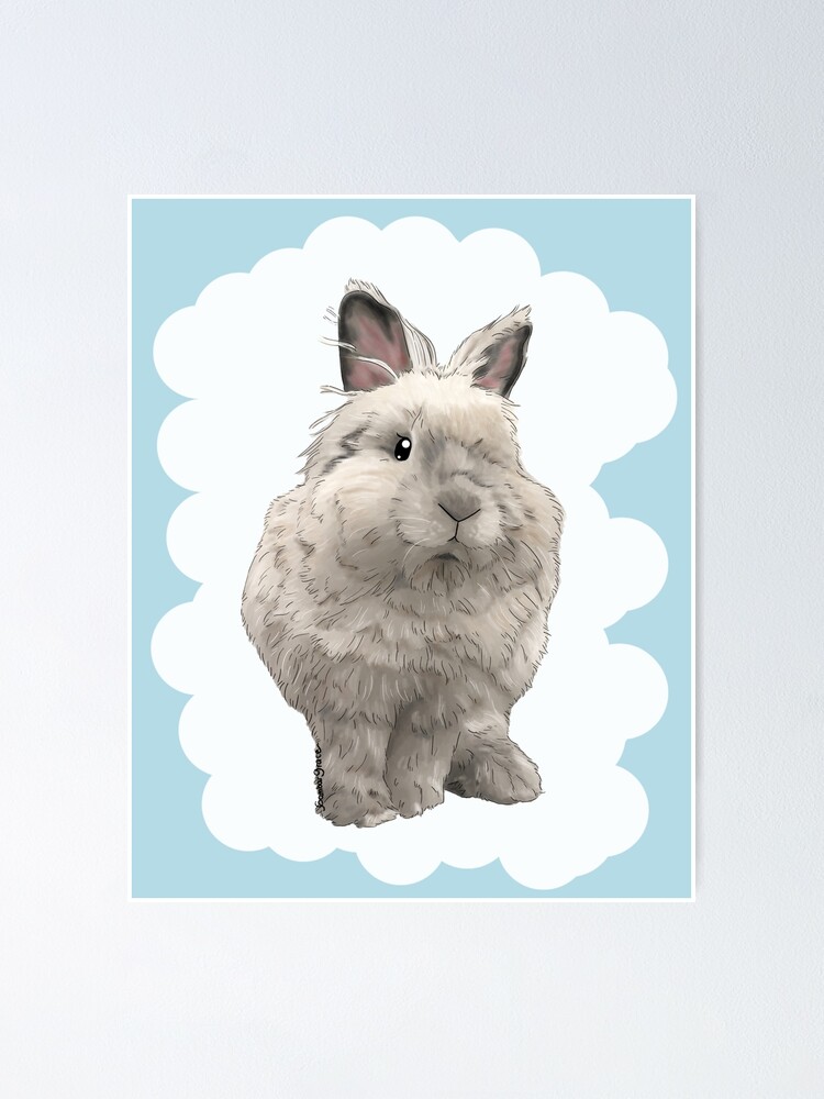 Lionhead rabbit Drawing Sketch, lion, mammal, animals png | PNGEgg