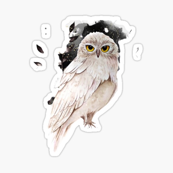 Harry Potter Owly Potter Sticker - Pro Sport Stickers