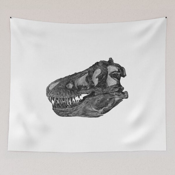 Item preview, Tyrannosaurus (T. rex) skull designed and sold by Opalaeo.