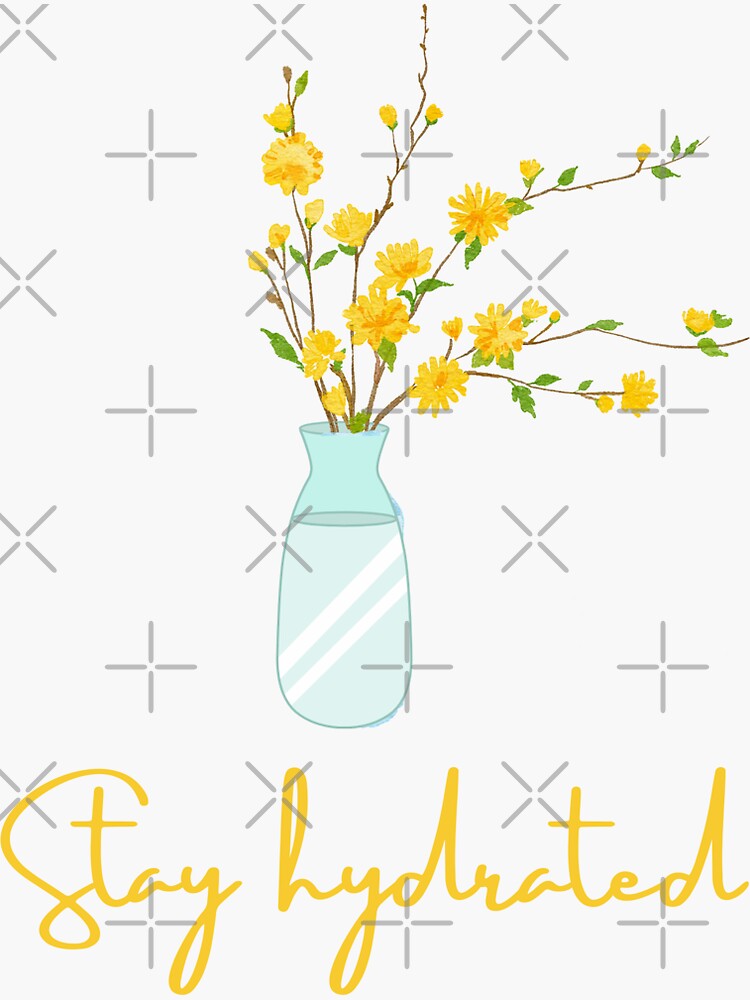 "Stay hydrated hydro flask sticker " Sticker for Sale by buybest1