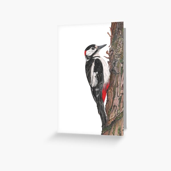 Felix the Woodpecker Greeting Card