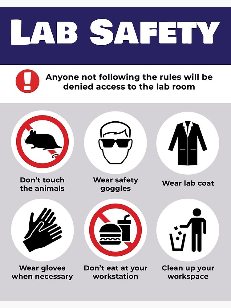 Lab Safety Poster Premium Matte Vertical Poster Sold By MikJones | SKU ...