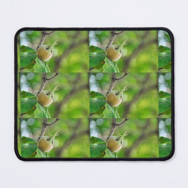 Item preview, Not Long Past designed and sold by Denise Abé.