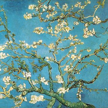 Aperçu de l'œuvre Vincent van Gogh, Amandier en fleurs de naturematters