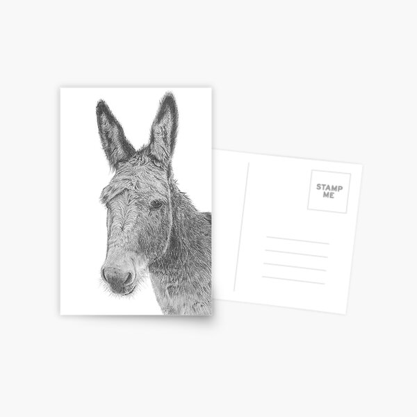 Stewie the Donkey Postcard