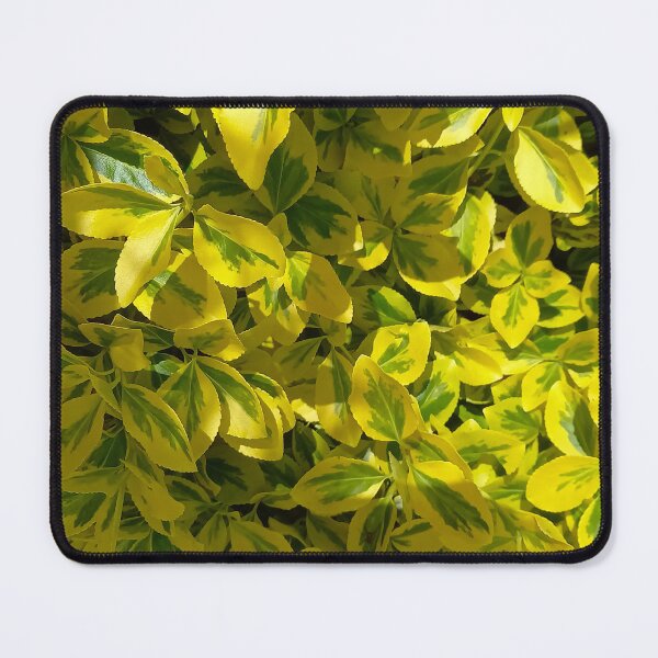 Item preview, Light green leaves designed and sold by Ninaeva.