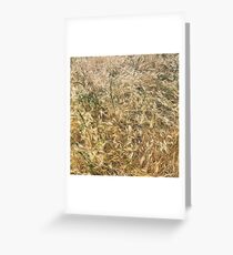 Wheat larger Greeting Card