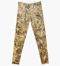 Wheat larger Leggings