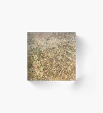 Wheat larger Acrylic Block