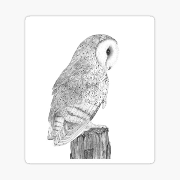 Jeffrey the Barn Owl Sticker