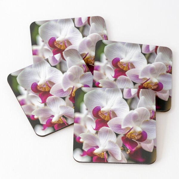 Item preview, Orchids designed and sold by TP-Designs.
