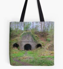 Lime Kilns Tote Bag