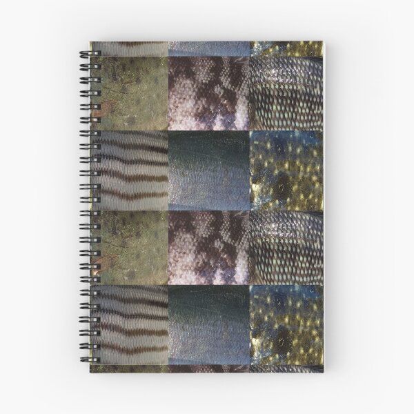 Item preview, Saltwater Fish (Inshore) Skin Patterns  designed and sold by CJRPics.