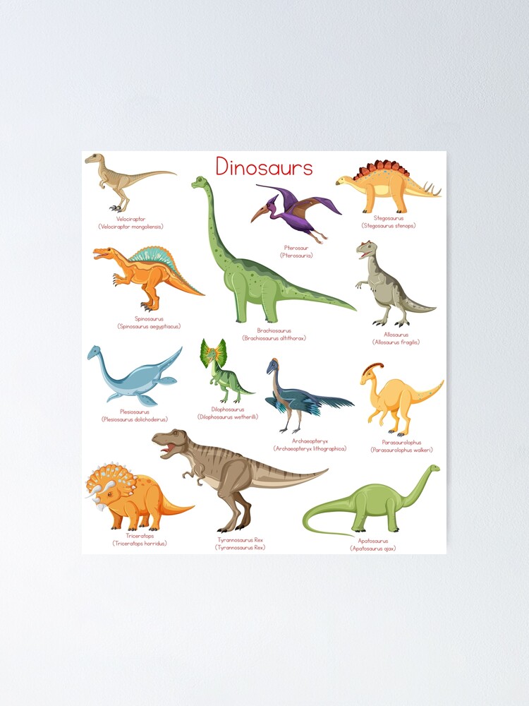 Types Of Dinosaurs Alphabet A Z Abc Dino Identification Poster For Sale By Krokodajll Redbubble 5389