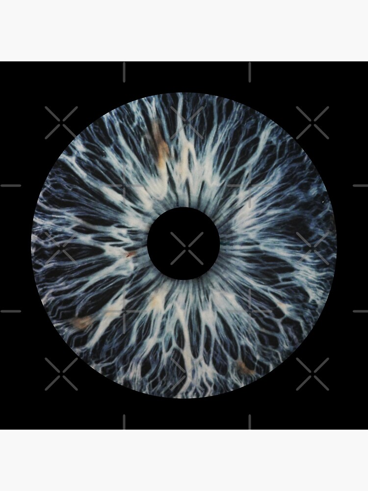 DPR IAN MITO EYE Moodswings in this Order Eye CD Inspired