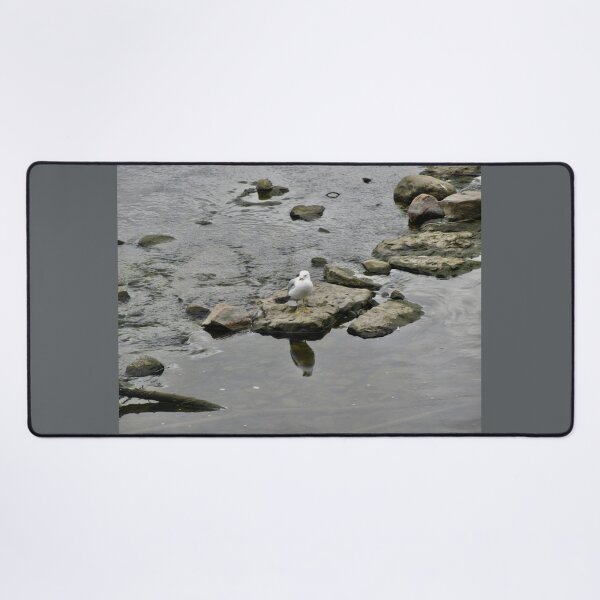 Item preview, Seagull on the rocks designed and sold by Shulie1.