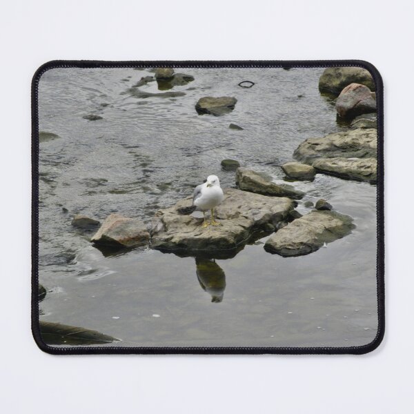 Item preview, Seagull on the rocks designed and sold by Shulie1.
