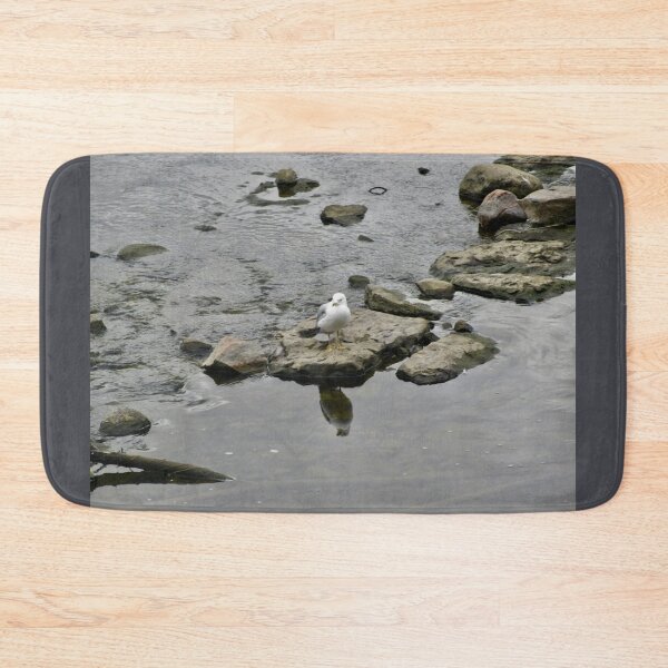Item preview, Seagull on the rocks designed and sold by Shulie1.